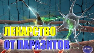 ❕ НАРОДНЫЕ СРЕДСТВА ОТ ПАРАЗИТОВ У ЧЕЛОВЕКА 👌 ГЛИСТЫ ВЫХОДЯТ ИЗО РТА 🔵