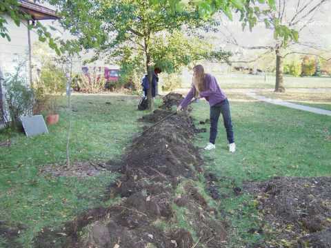 Intro to Permaculture 14 - Bill and Becky's Permaculture Raingardens & Yard