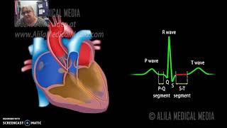 BIO201 Chapter 19 part 3