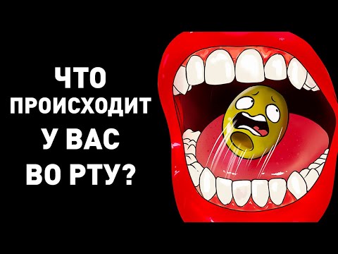 Видео: Кои части от организма обикновено се вкаменяват защо?