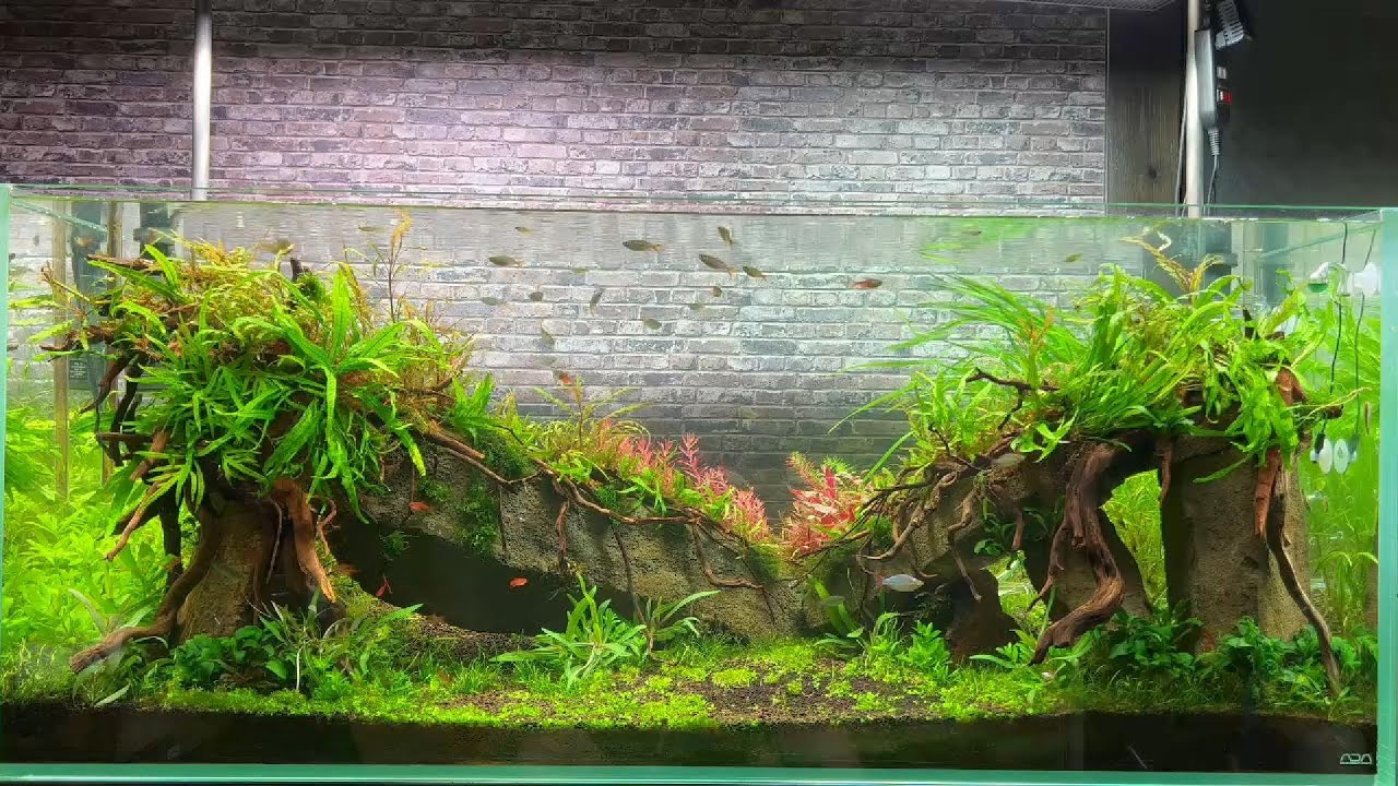 ライトスクリーンについて - YouTube