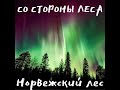 Со стороны леса - Норвежский лес