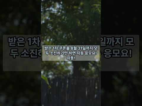 5만원 더 드려요!