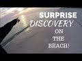 Grayton Beach State Park - Surprise Discovery on the Beach &amp; 1 Year Together (2018) RV Living