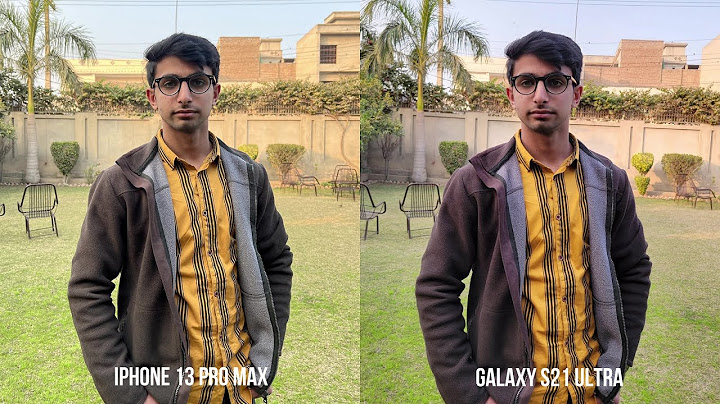 Iphone 13 pro max vs samsung s21 ultra camera comparison