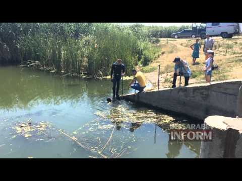 В Измаильском р-не водолазы ищут пропавшего рыбака