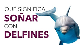 Qué significa SOÑAR con DELFINES ✨🐬 ¿Qué significado tiene este sueño?