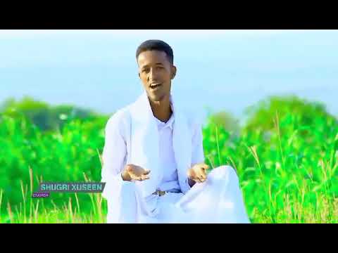 Dhantocusub 2022 Ilyaas 