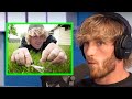 HOW DID LOGAN PAUL MAKE MONEY IN HIGH SCHOOL?