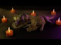 End of video
