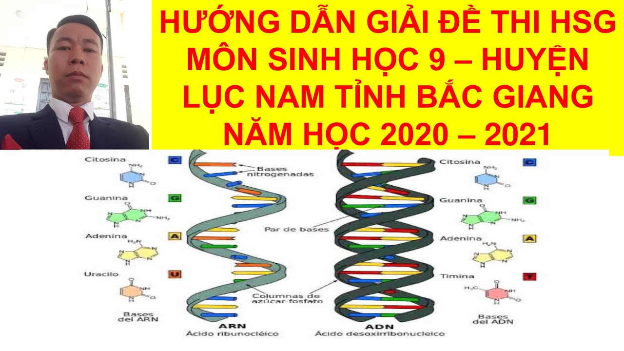 Đề thi học sinh giỏi sinh 9 cấp thành phố | GIẢI ĐỀ THI HSG SINH 9 – HUYỆN LỤC NAM NĂM HỌC 2020-2021