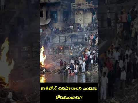 Why People Want To Die In Kasi