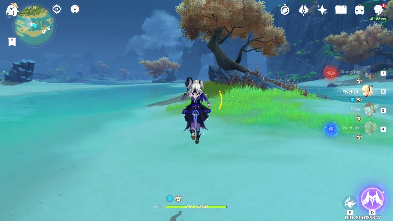 Genshin Impact Fischl Level 80 Pure Physical AA Damage Test full buff