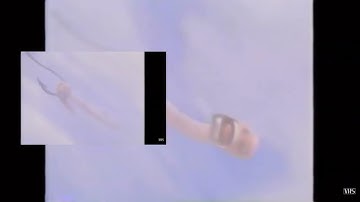 Dreamworks Animation SKG (Shark Tale Variant) has a Sparta Unextended Remix