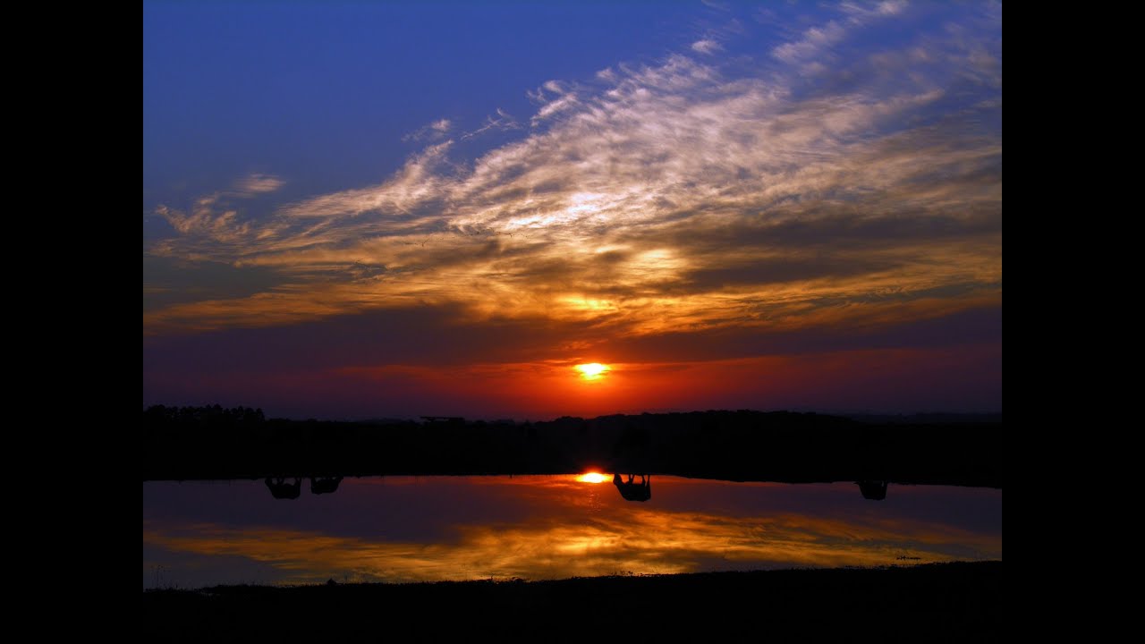 еще до захода солнца засыпают. на восходе солнца. последние лучи заката. картины закат на оке фото. цветы на рассвете.
