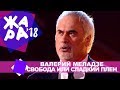 Валерий Меладзе  -  Свобода или сладкий плен (ЖАРА MUSIC AWARDS 2018)