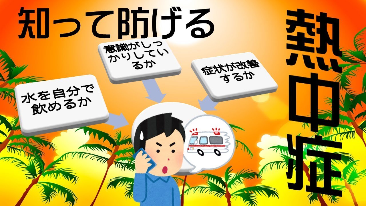 熱中症・夏バテ対策はこれで決まり！【栄養指導する整体師　監修　サプリ】 栄養指導する整体師 監修 熱中症と夏バテ対策のHigh quality