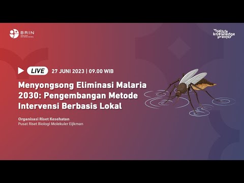 Video: Siapa yang melakukan intervensi untuk malaria?