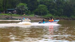 Borneo Wildlife Tour Trailer (Sandakan & Tabin)  30 Secs (HD)