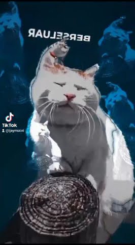 DJ. TERBARU UPIN IPIN HANG PI MANA. VERSI MAUNG