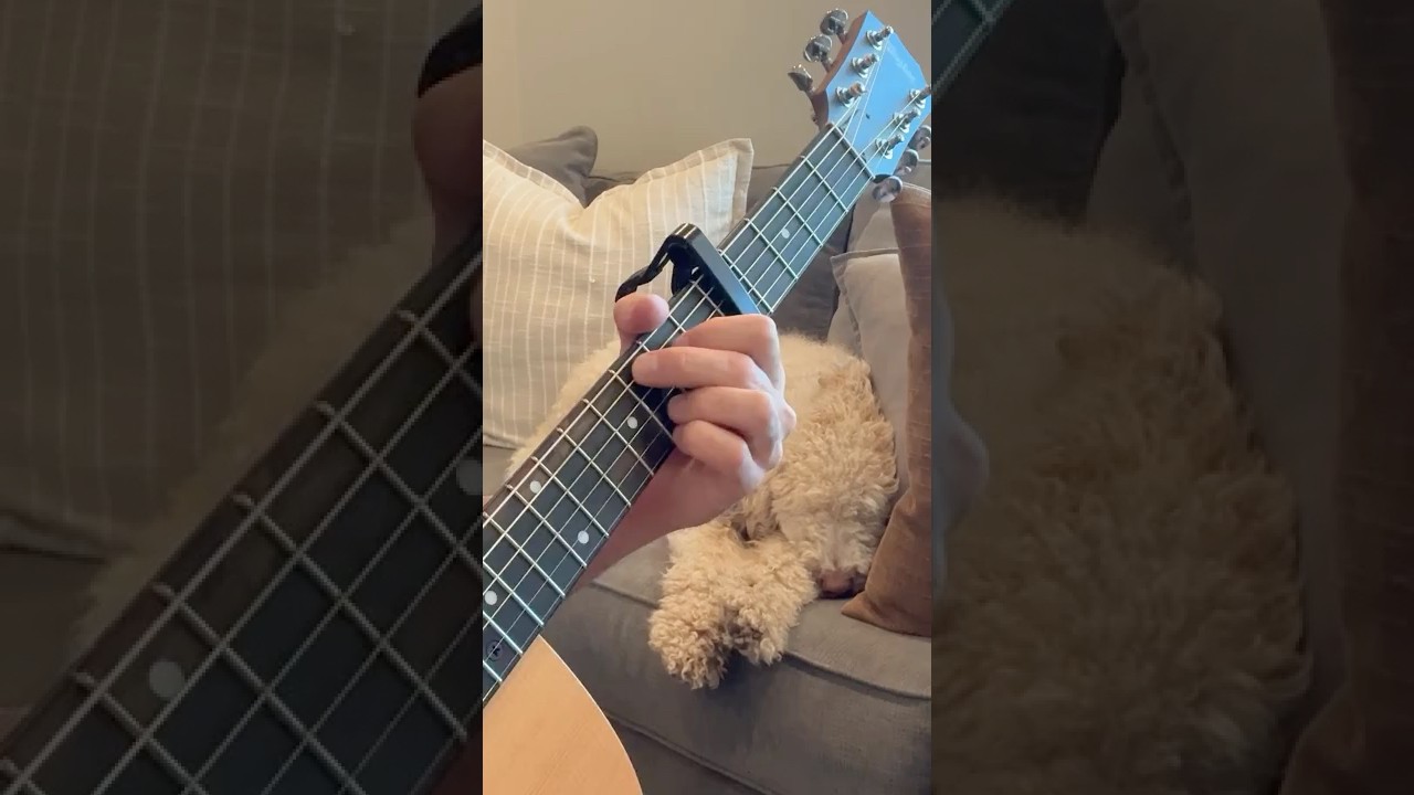 Zach Bryan “Pink Houses” Guitar lesson #guitar #guitarlesson #country #guitarcover