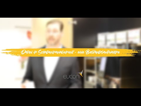 Daten im Schadenmanagement - eine Bestandsaufnahme