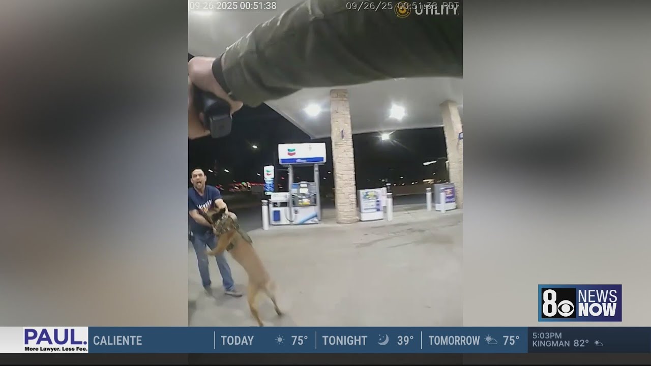 Las Vegas valley shooting spree: Man accused of shooting casinos, child, police building