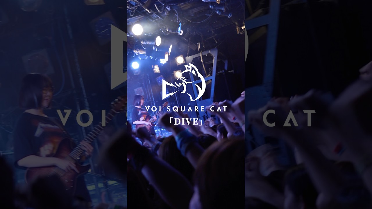 Παρακολούθηση 一瞬で惹き込まれる曲 "DIVE" #voisquarecat #DIVE #バンド #live στο YouTube Παρακολούθηση 一瞬で惹き込まれる曲 "DIVE" #voisquarecat #DIVE #バンド #live στο YouTube
