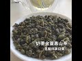 新鳳鳴｜奶香高山金萱茶x包裝出貨日常 Jin Xuan Oolong Tea