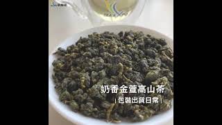 新鳳鳴｜奶香高山金萱茶x包裝出貨日常 Jin Xuan Oolong Tea