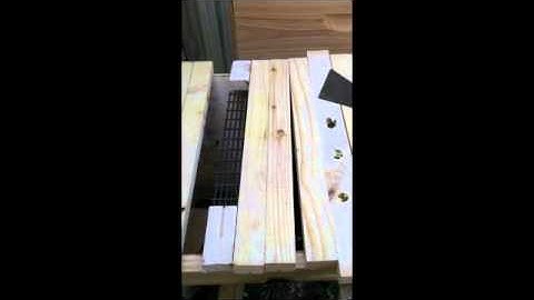 First Beekeeping video w/ Top Bar Hive!