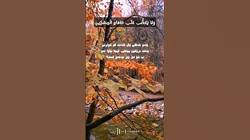 سورة الماعون - قارئ شيخ رعد محمد الكردي