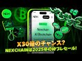 Nexchainは次の仮想通貨ジャイアントか?NEXプレセール徹底解説!