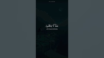 يَوْمَ يَقُومُ الرُّوحُ وَالْمَلَائِكَةُ صَفًّا ((تلاوة خاشعة))
