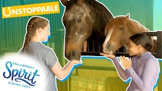 Top 5 Tips For Rescue Horse Training! | THATS THE SPIRIT