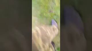 Жесткий разговор с полицейскими