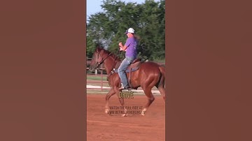 Daily Warm Up Routine for Barrel Horses #barrelracing #betweenthereins #barrelracer #horseriding