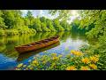 Soft Healing Music For Health And To Calm The Nervous System Deep Relaxation 