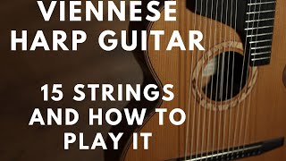 15 String Viennese Custom Harp Guitar ... and how to play it!