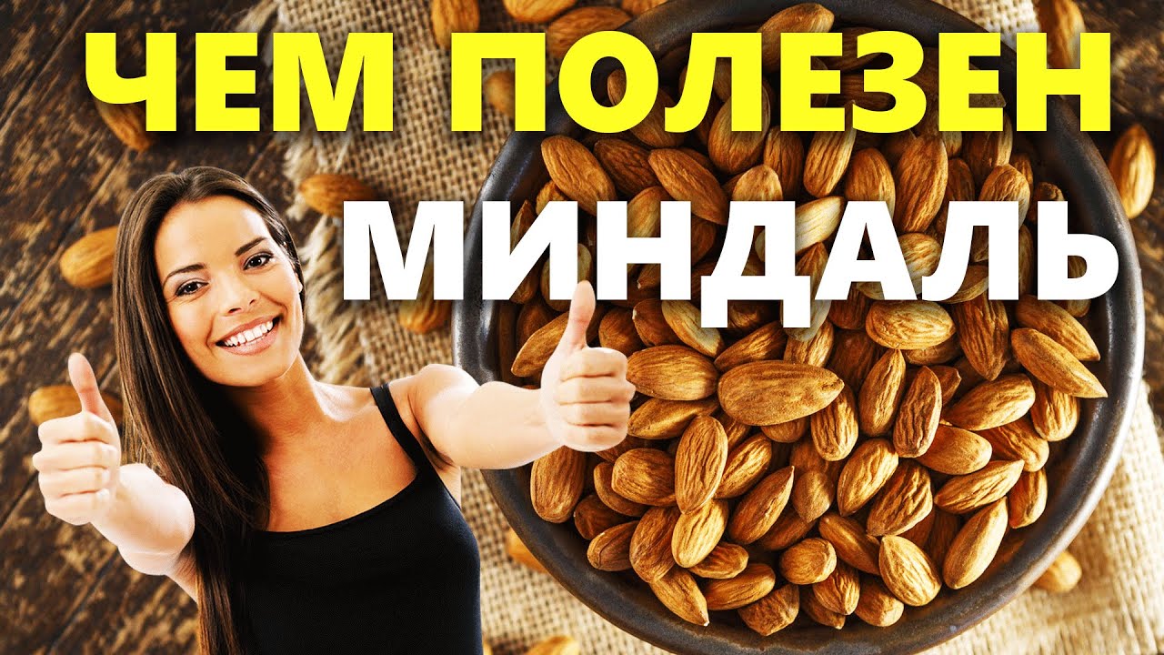 Миндаль: польза и вред для организма (профилактика рака и гипертонии ...