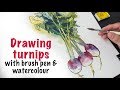 How to Draw Turnips with Brush Pen and Watercolour