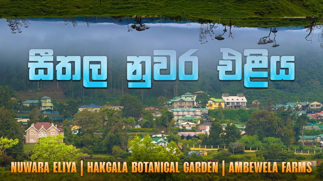 සීතල නුවර එළියේ රවුමක් යමු | Nuwara Eliya | Hakgala | Ambewela (Gayashan's Journey - Travel EP 09)