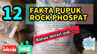 12 Hal Penting Pupuk Rock Phospat