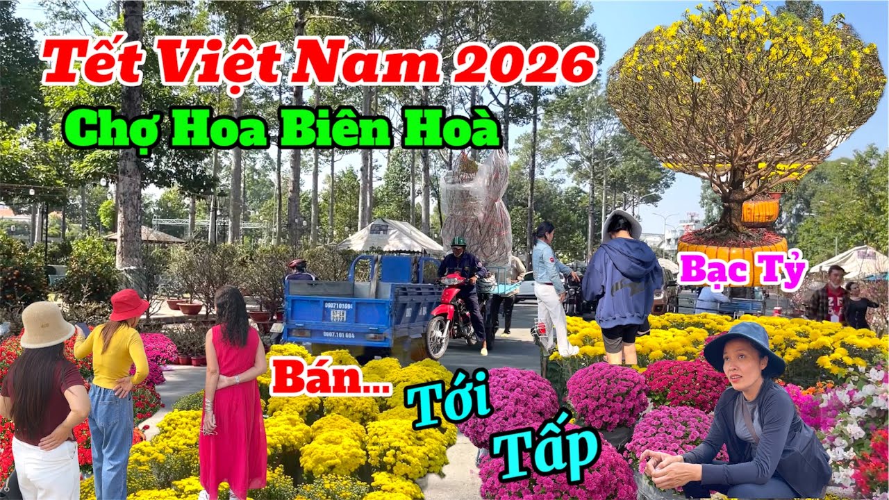 TẤP NẬP chợ hoa tết biên hoà 2026, Mai khủng 80 năm tuổi, 1 tỷ 3