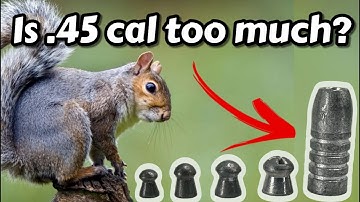 Do you need a .45 cal for Chipmunks? Let