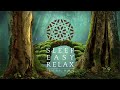 Soothing Angelic Music to Relax, Delta Wave Music, Calming Energy, Study, Relax (Deep Calm) ★ 99