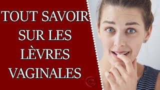 Tout savoir sur les lèvres vaginales