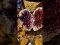 Nature's hidden gems or AI magic? Either way, it's mesmerizing #agate #geode #stone #gold #ai
