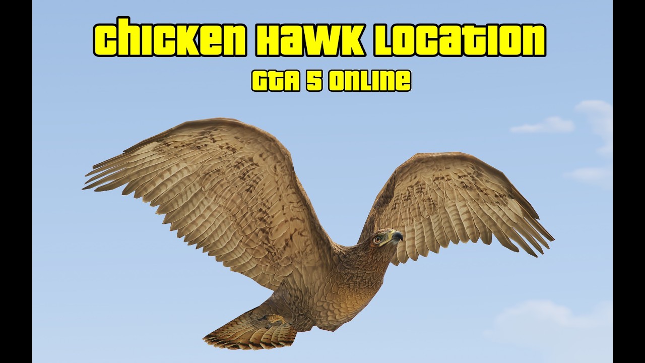 GTA 5 Online Wildlife Animal Location 8 Chicken Hawk YouTube 