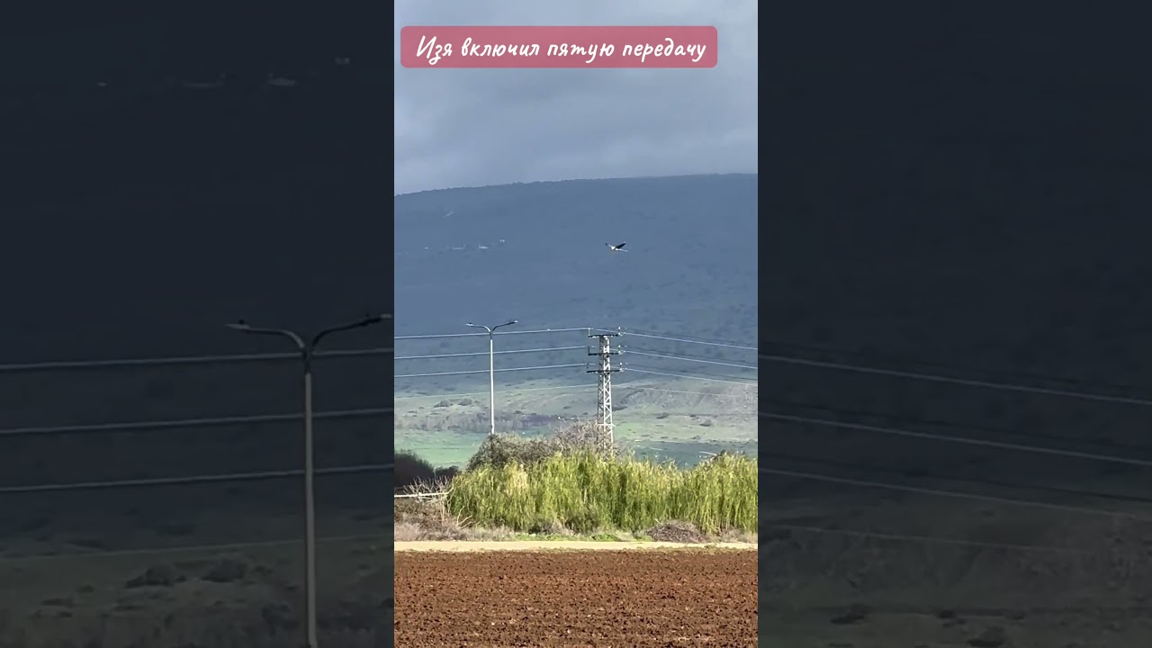 Izya is racing through the sky 